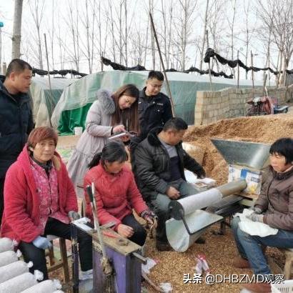 高邑融资诈骗案最新进展揭秘，案件细节曝光，后续动态引人关注