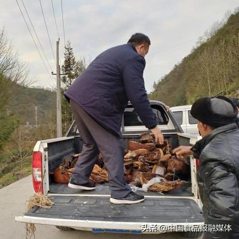 鹤峰最新热门新闻头条，不容错过！