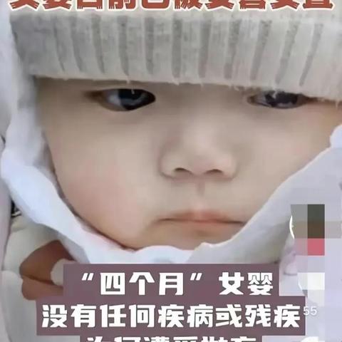 科技与爱心联手寻狗，最新今日头条消息揭秘