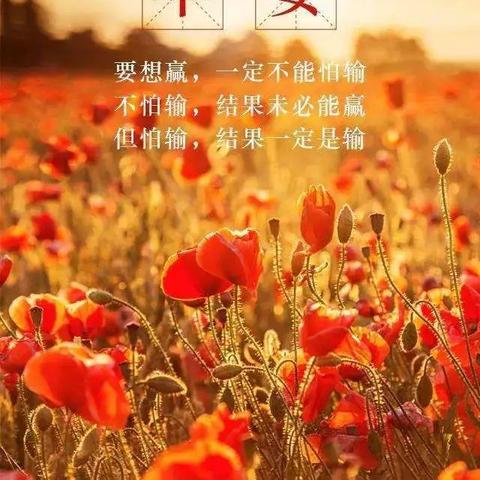 励志早安视频语录，唤醒你的清晨力量