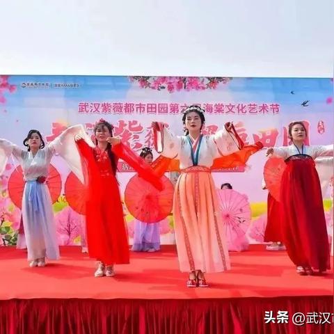 紫薇村探秘，古韵魅力之旅的旅游攻略