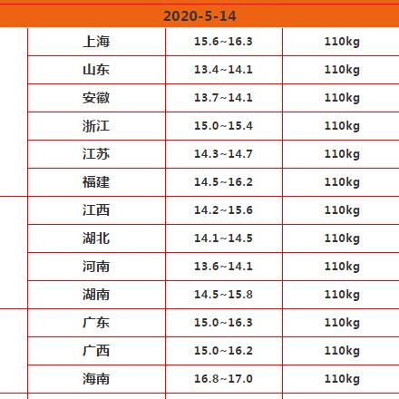 广东肉价最新动态，市场走势、影响因素深度解析