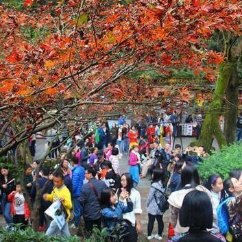 湖南老家探秘之旅，家的味道与美景的双重享受攻略