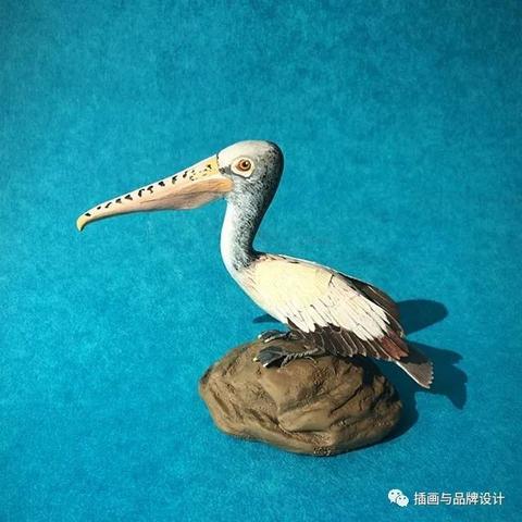 揭秘鹈鹕鸟神秘世界，大自然之美的探索之旅