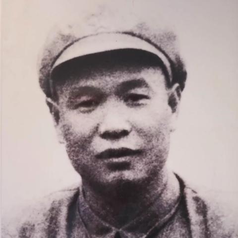石湾事件最新进展，今日关注揭秘最新动态