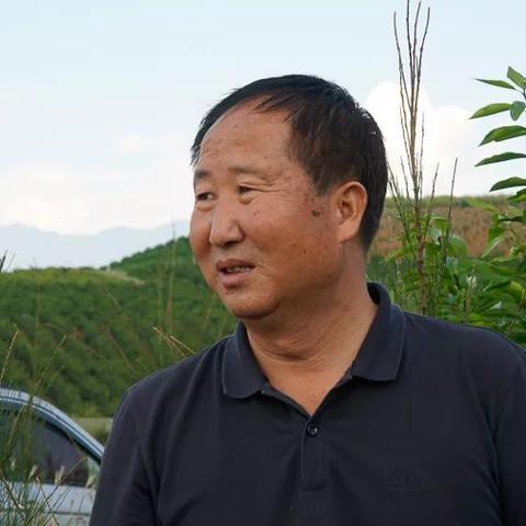 上海宾川新闻聚焦，城市发展与民生改善的最新动态