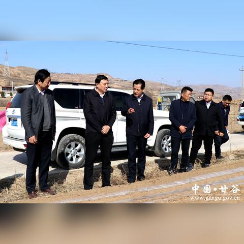 甘谷大石新闻聚焦，地方活力与变迁揭秘