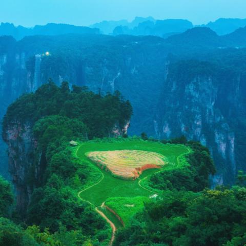湖南保险公司排名TOP10揭秘，权威解读市场格局