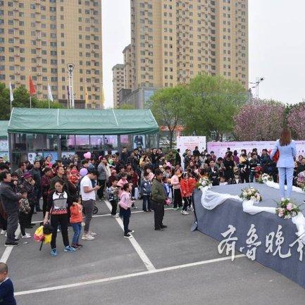 聊城相亲机构TOP10榜单揭秘，成功背后的关键因素解读