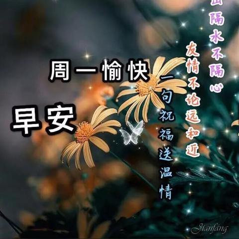励志语录，奋斗与安逸的选择之道