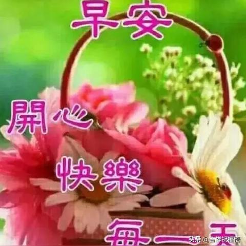 励志高级早安语录，开启活力满满的一天！