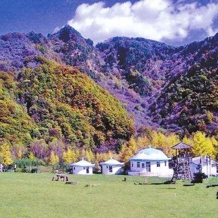 独家揭秘，宁夏至九寨沟绝美风光之旅攻略