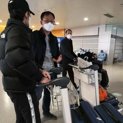 韩国宠物转运公司排名揭晓，权威榜单，不容错过！