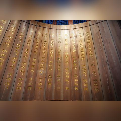 清马县最新发展动态与社会热点新闻头条探索