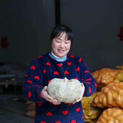 今日魔芋收购价走势揭秘，市场动态与影响因素深度解析