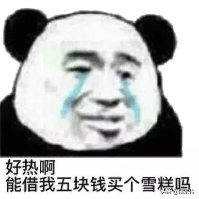 揭西今日天气实时更新，气象变化与您的生活紧密相连