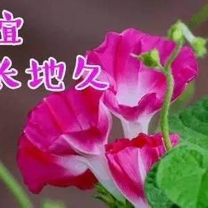 简短励志温馨语录对话集锦