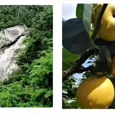 世界温泉胜地探秘，最美温泉排名榜单，奇妙之旅开启！