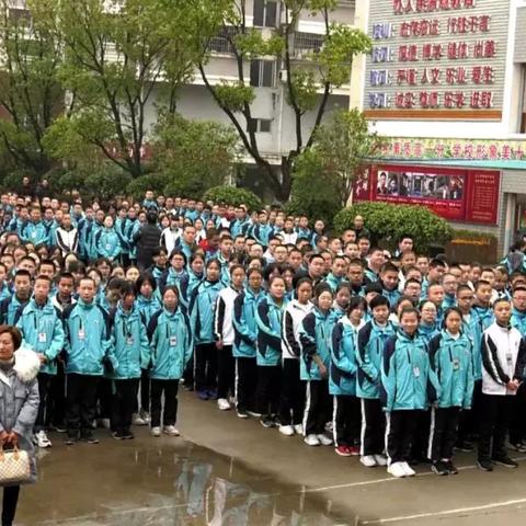长汀中考之星闪耀，聚焦前十名学子风采