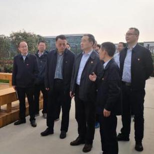 安徽国家电网公司影响力排名及地方影响力解析