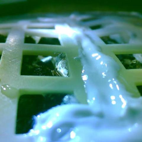 油菜在全球的重要性与排名深度解析