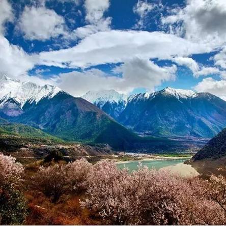 阿勒泰冷门旅游攻略，揭秘不为人知的美景探索