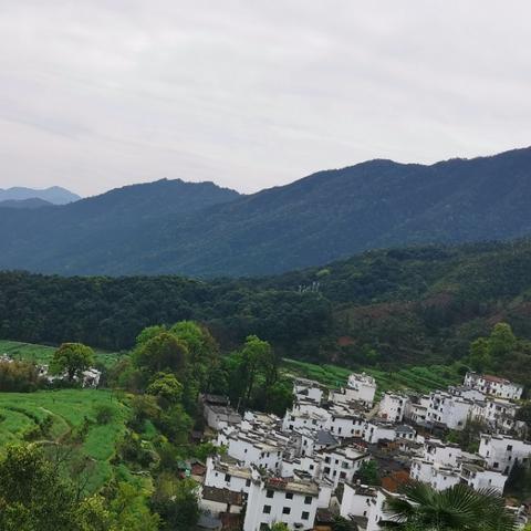 江西上饶一日游全攻略，探索城市之美，畅游上饶一日游路线指南