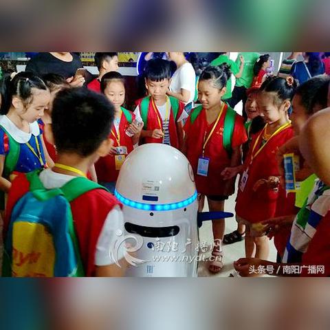 南阳小胖引发关注，新闻头条揭秘事件始末