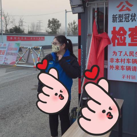 茅村最新疫情动态，通报消息与图片实录