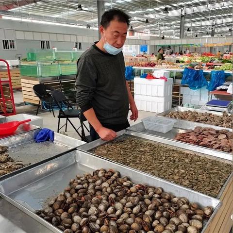 海盐运营公司排名揭秘，寻找最佳合作伙伴的不二指南！