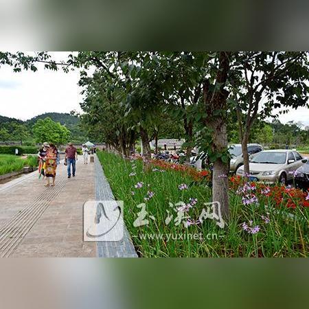 玉溪最新动态大揭秘，城市新面貌与身边新鲜事关注