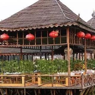 钓鱼农家乐攻略，自然与休闲的完美融合体验
