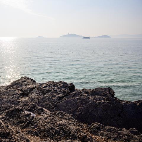冬天厦门旅游攻略大全，带你畅游浪漫海岛！