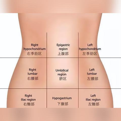 揭秘肚脐眼上方疼痛之谜，健康隐患与应对方法