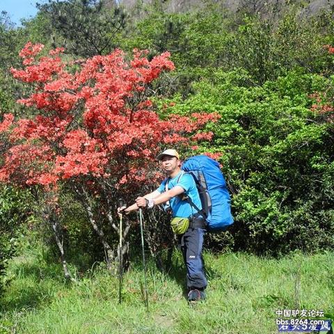 龙岩梅花山探秘，自然人文之美交织的旅游攻略！