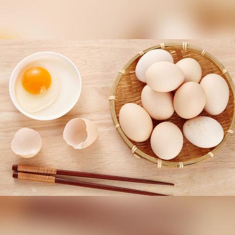 今日鸡蛋现货行情，最新价格、市场走势深度分析与预测