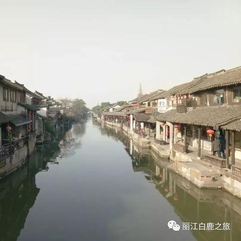 云霄园林新闻聚焦，探索绿色发展前沿动态