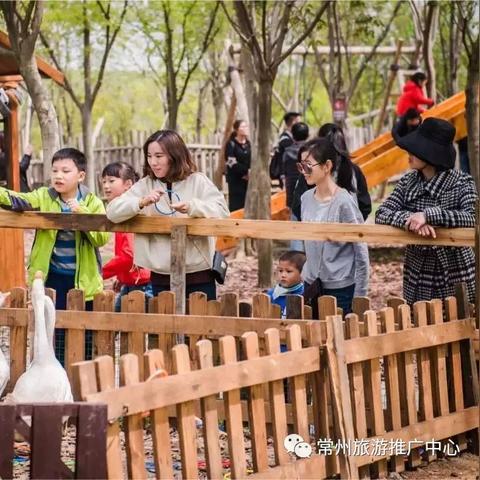 独家揭秘，常州出行攻略最新指南，带你畅游无限！
