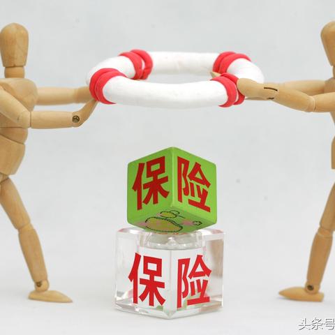 济宁大蒜最新行情揭秘，全面深度解析，洞悉市场动态