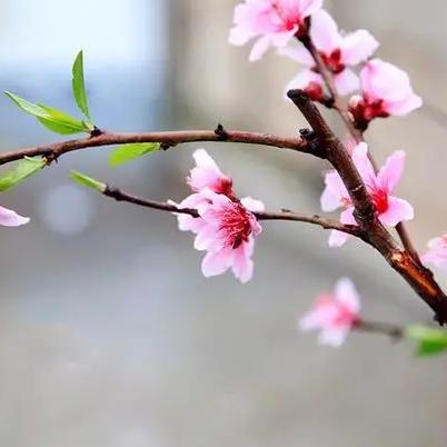 简短有趣座右铭励志语录集锦