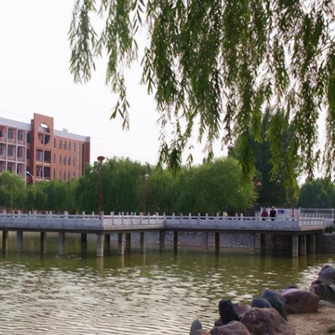 高校最新解锁秘籍，揭秘校园生活新姿势攻略指南 178篇全解析