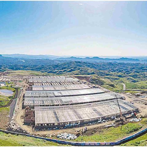 大方今日生猪最新报价及市场走势影响因素解析