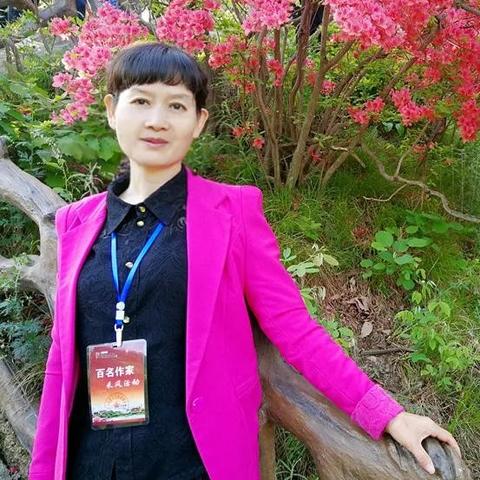 洛阳最新疫情通报，众志成城，共同抗击疫情难关