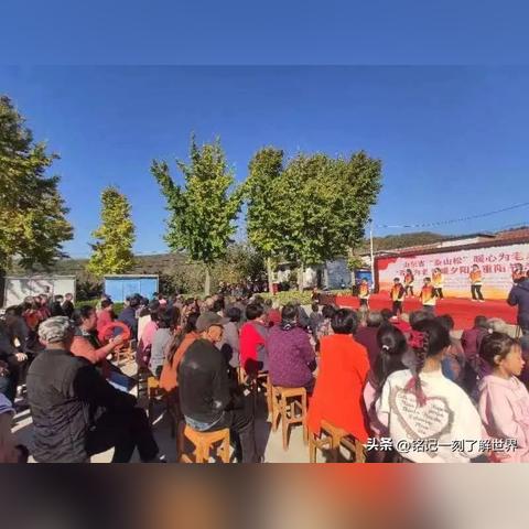 泰安牛奶柜公司排名大揭秘，行业领导者如何脱颖而出