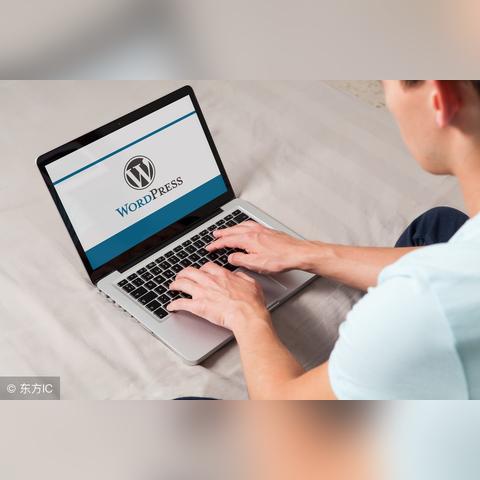 博客站长视角下的搜索引擎魅力与重要性探索——百度为你揭秘