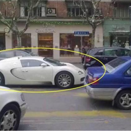 上海热点事件视频揭秘，聚焦缸鱼新闻，解读城市最新动态