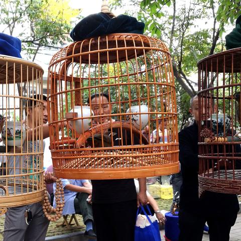北闸口市场交通状况解析，堵车现状与应对建议
