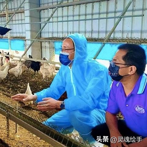 乌克兰饲料公司排名揭秘，行业巨头与未来趋势展望