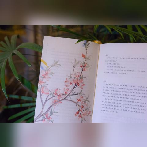 陆游词作的古典之美，深度解读与赏析