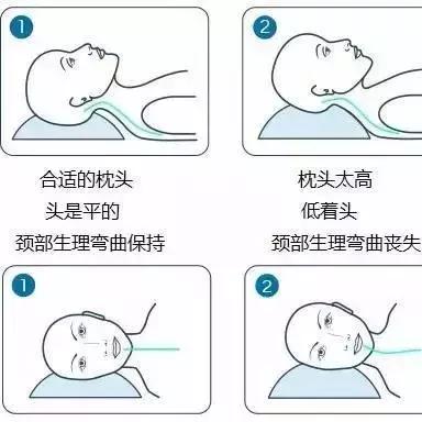 儿童枕头品牌全球排名TOP榜，选购指南与深度解析